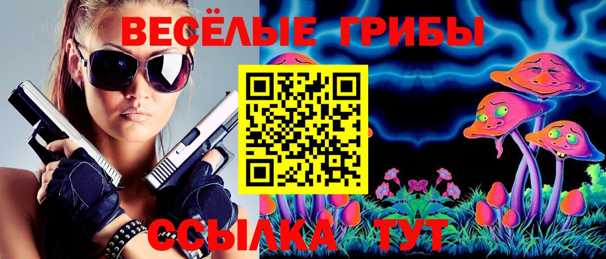 Азнакаево  Псилоцибиновые грибы Psilocybine cubensis  Вход с VPN  Галлюциногенные грибы Psilocybine cubensis 
